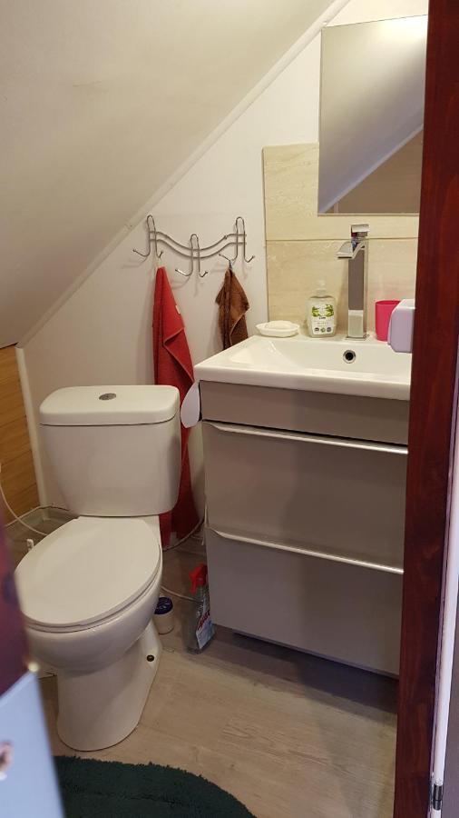 Turystyczny Apartament Na Poddaszu Skoczów Екстериор снимка